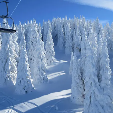 Lejlighed Sky Kopaonik